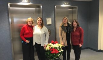 Meet Our Team
